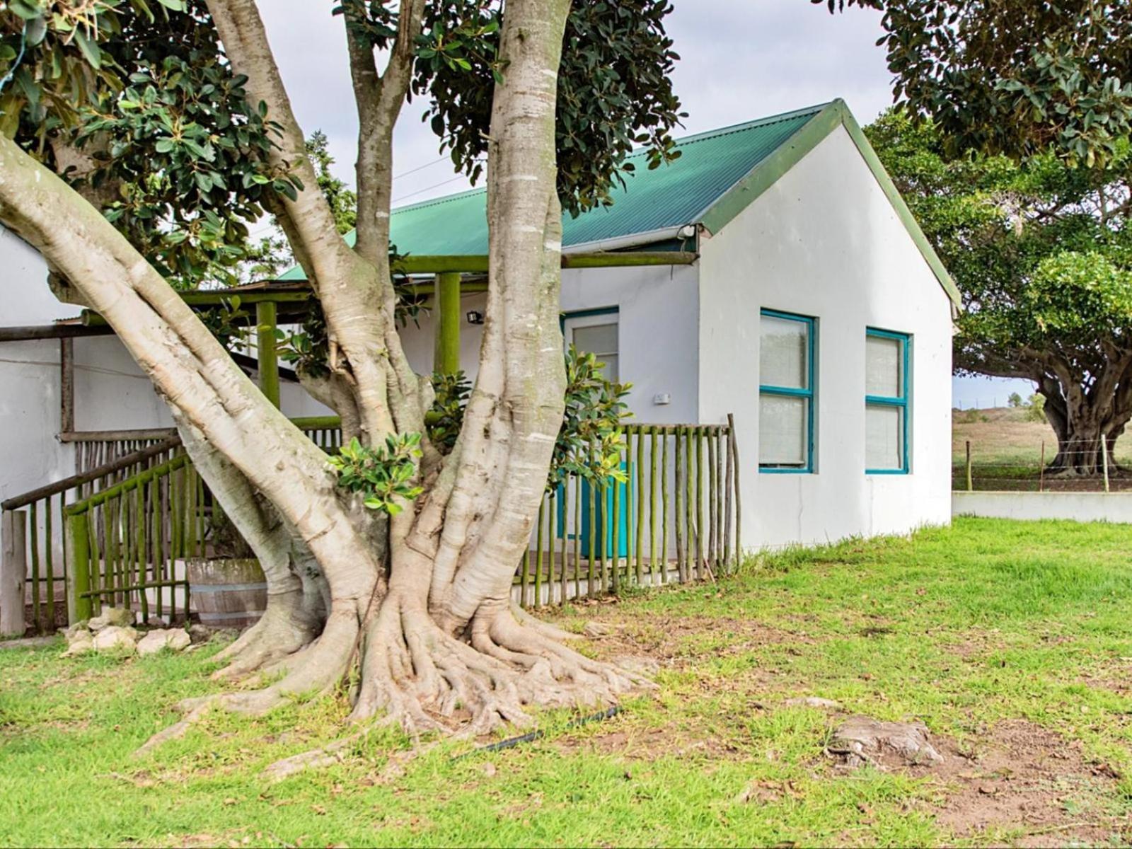 Wiggins Self Catering Apartment Jacobs Bay Exterior photo